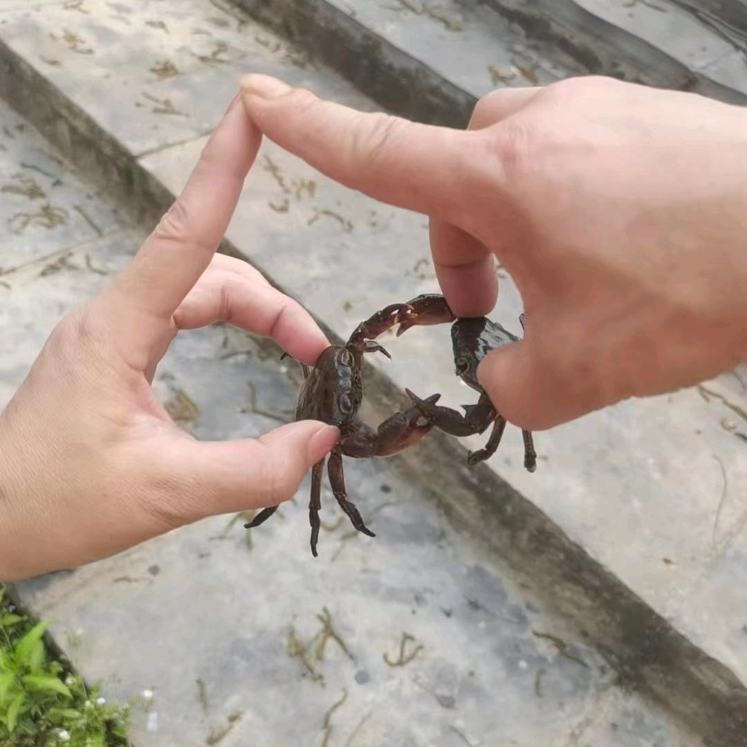 💔᭄人生ꦿꦿ᪲.如茶🚬