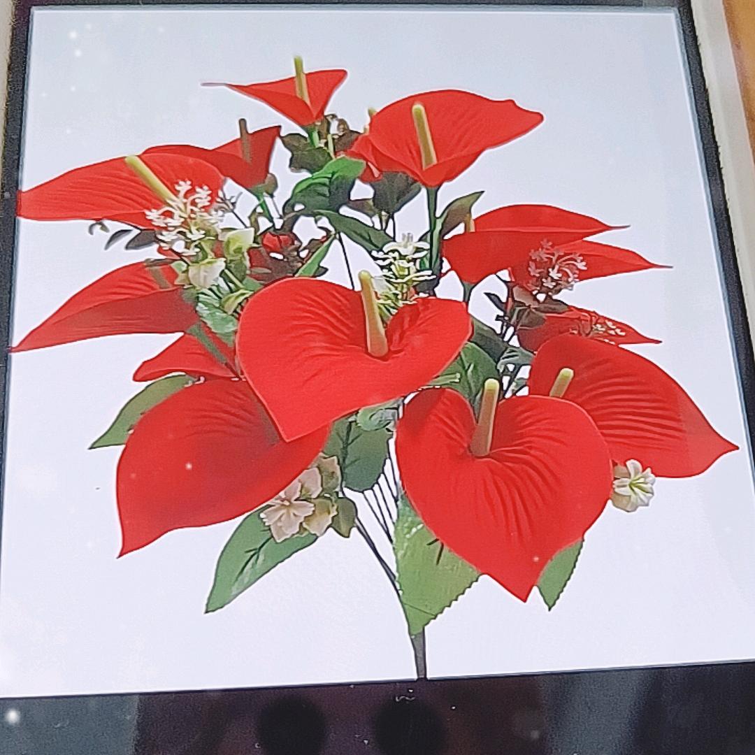 龙仙姐，🌹🌹