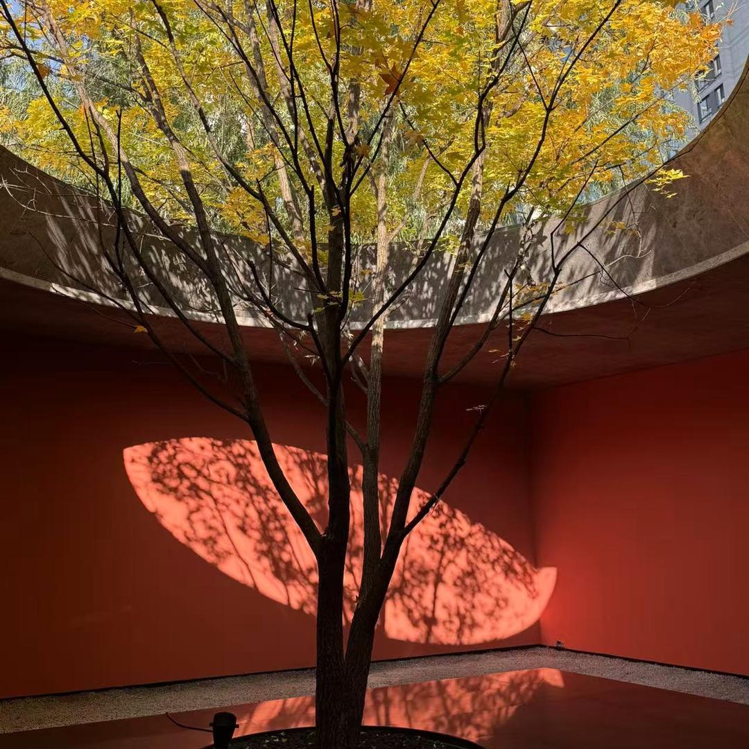 帅哥不是你叫的