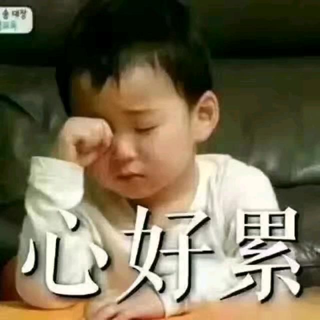 《冰的眼泪💔》