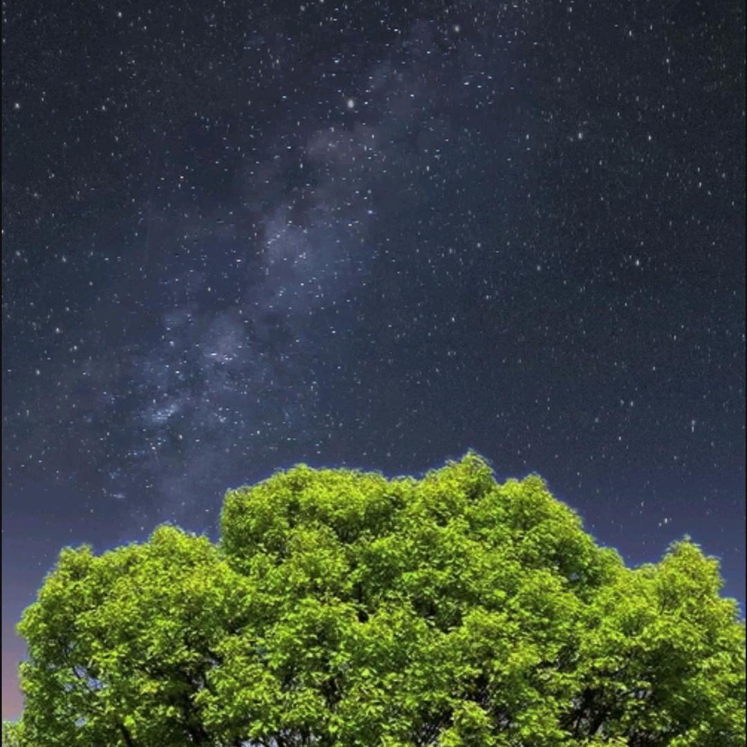 新新