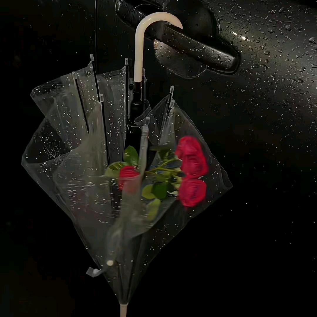 转身遗忘