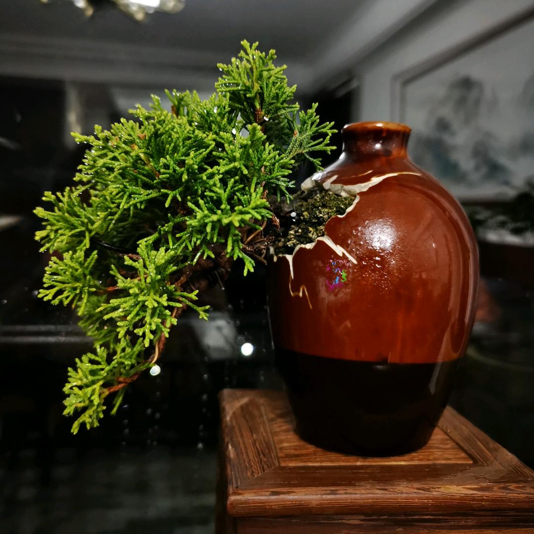 清风朗月