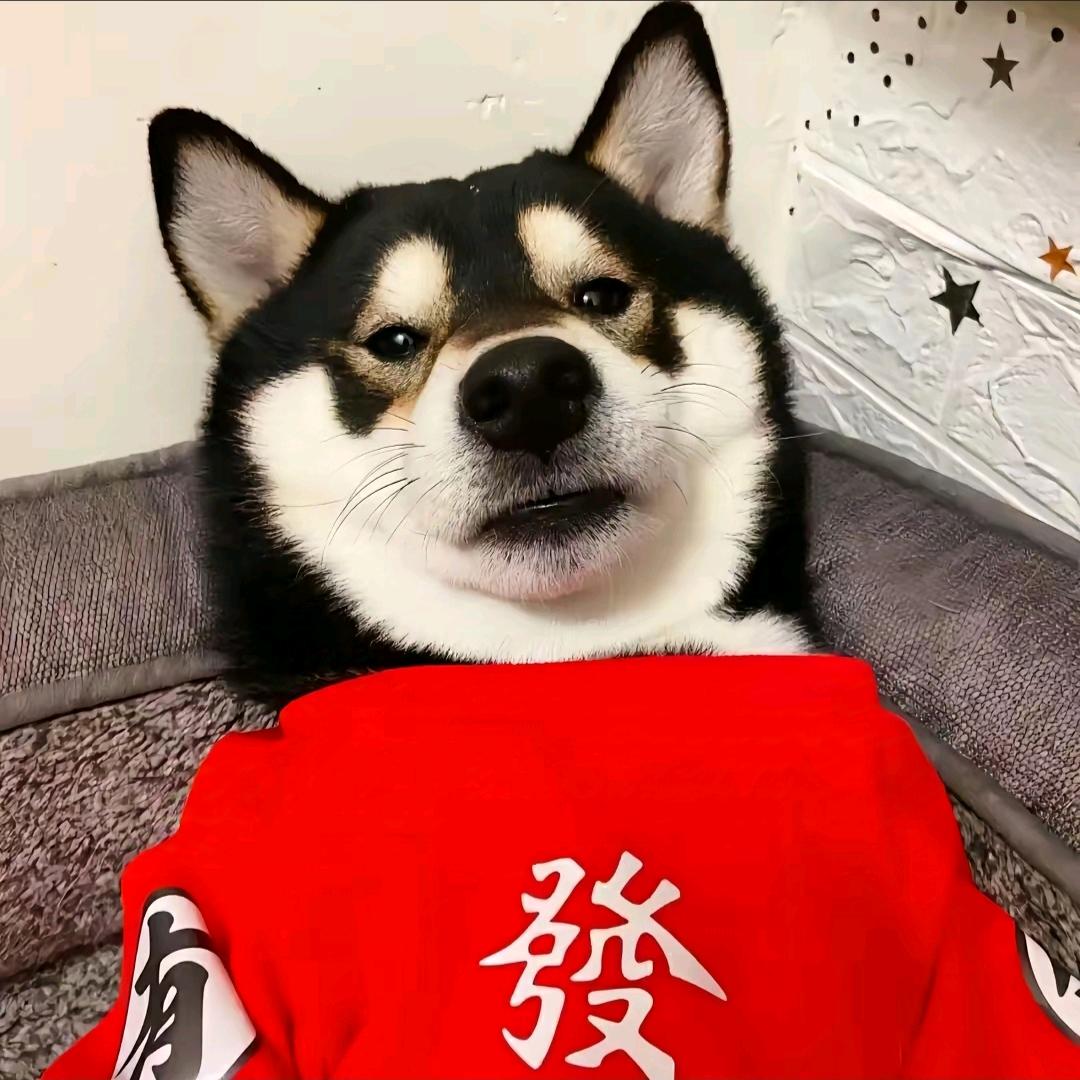 🚁🚓🐕
