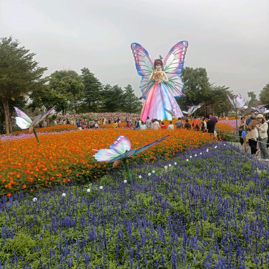 墨墨哒《橱窗有好物》