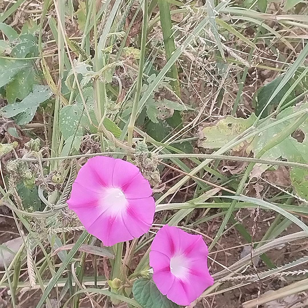 永无止境