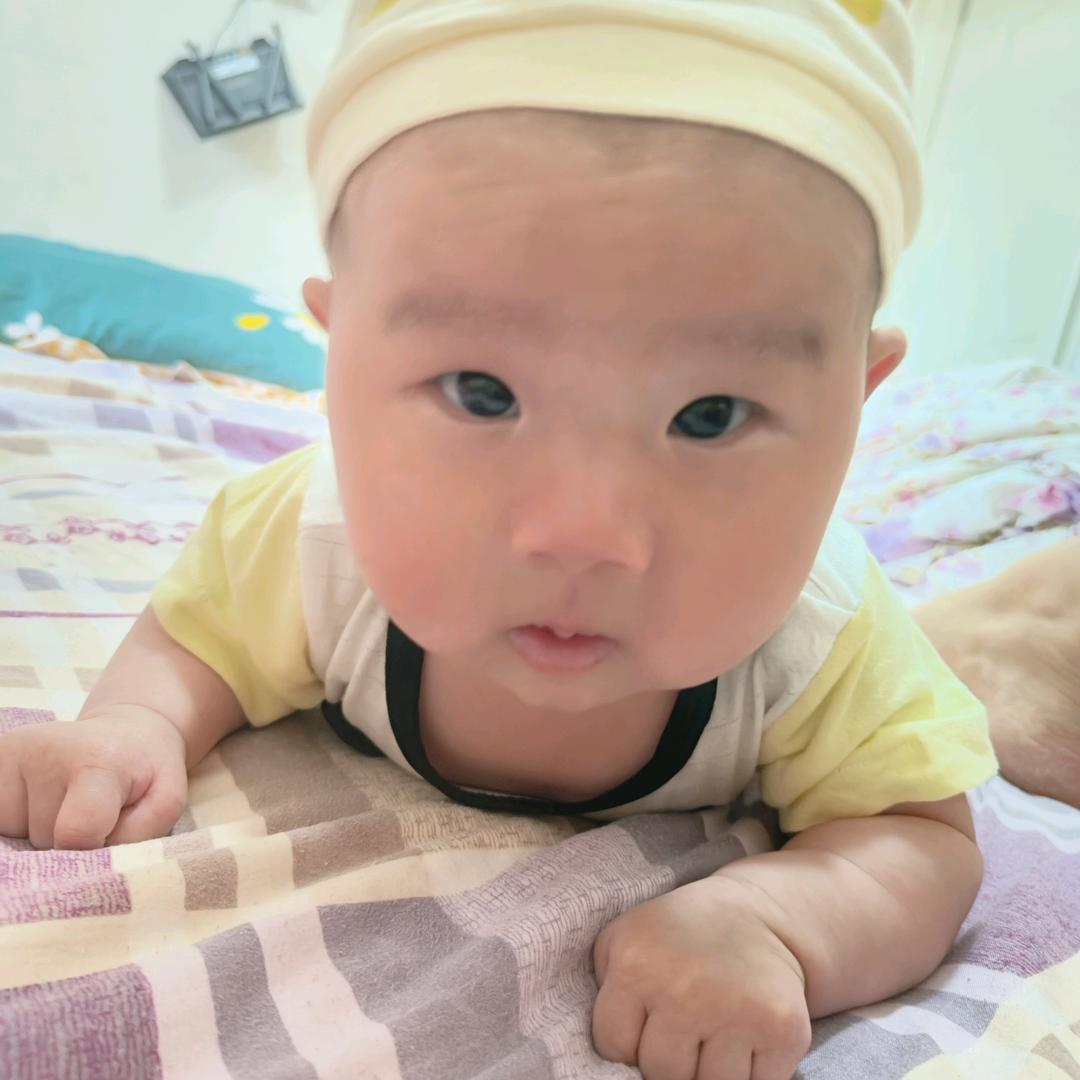 小珊瑚🪸🪸🪸