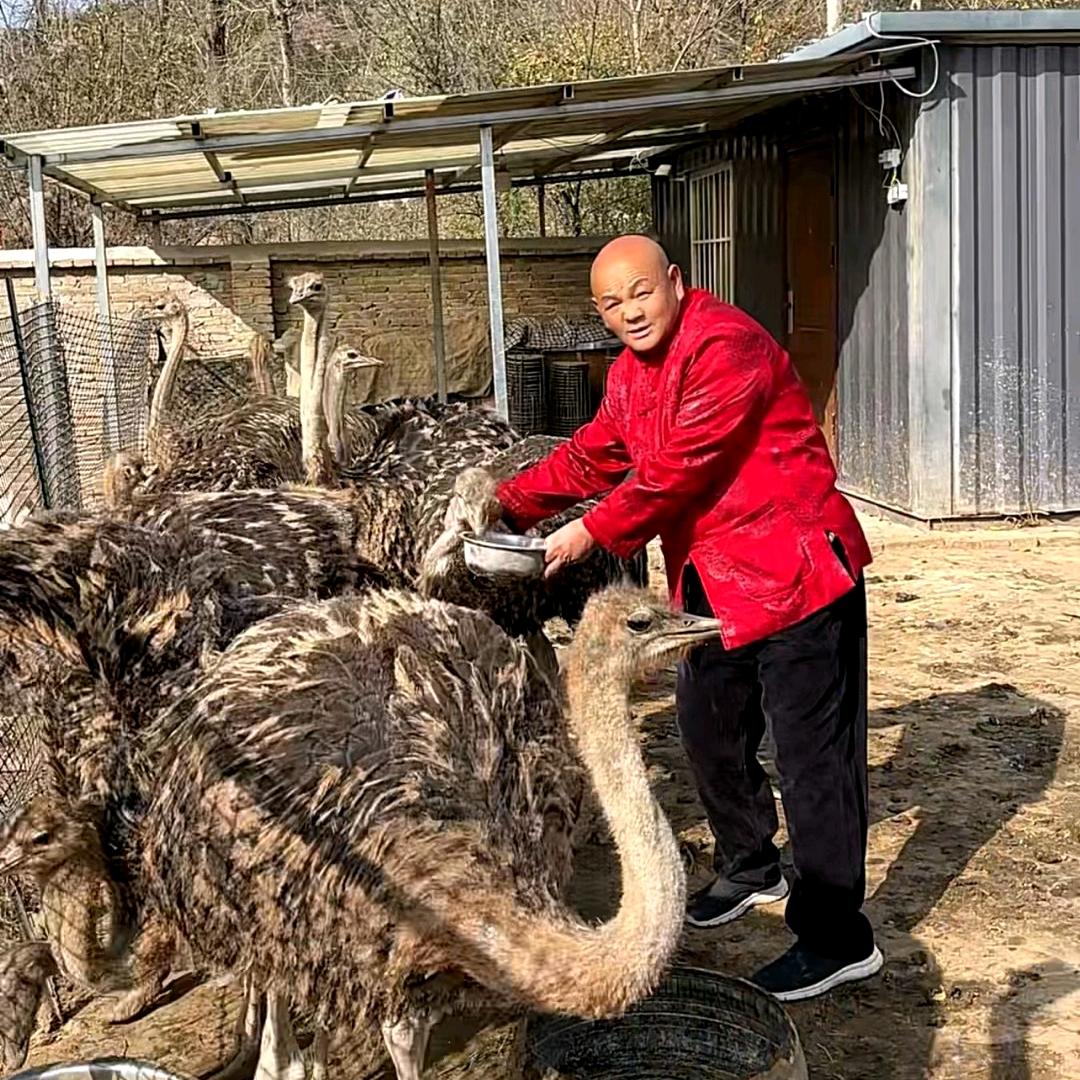 寿山饲养场