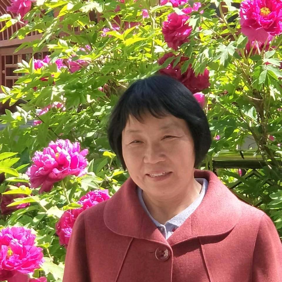 苏连