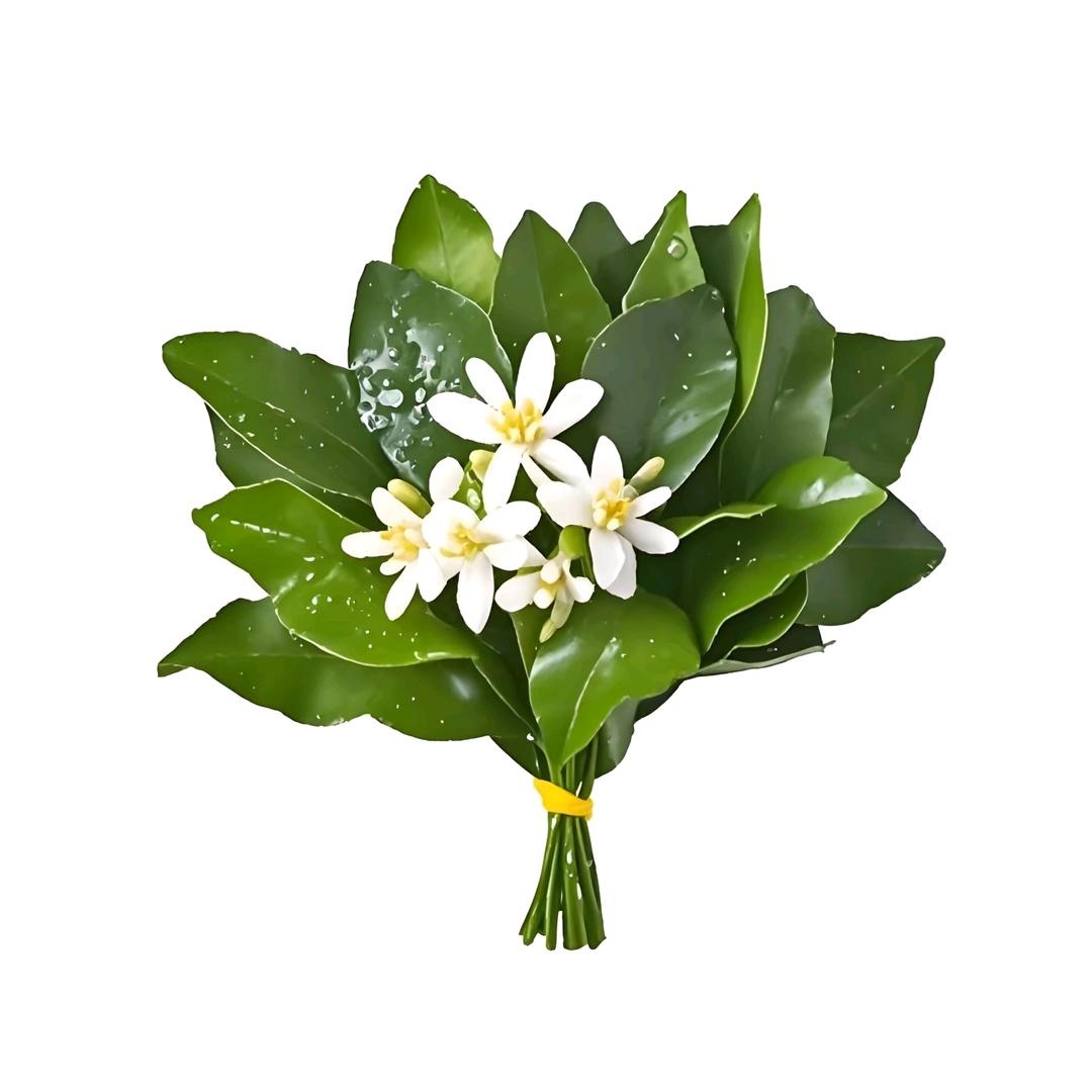 霍州开元街电信营业厅