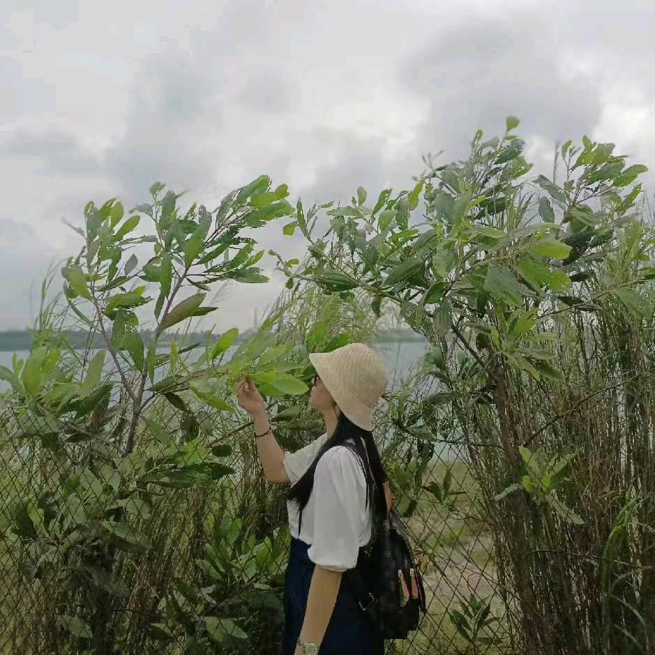 玉姐姐