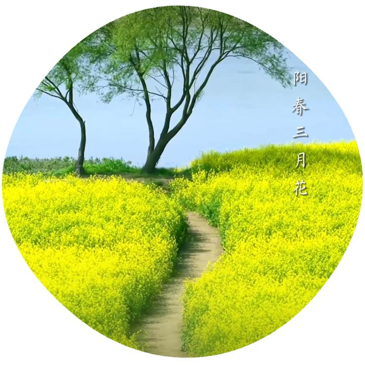 笑看人生