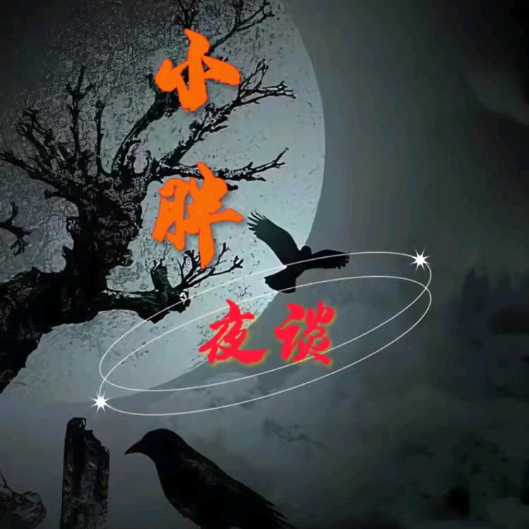 小胖夜谈