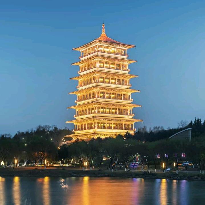 ☸ไม้ป่า☸