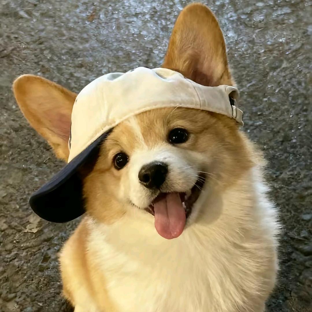 『』