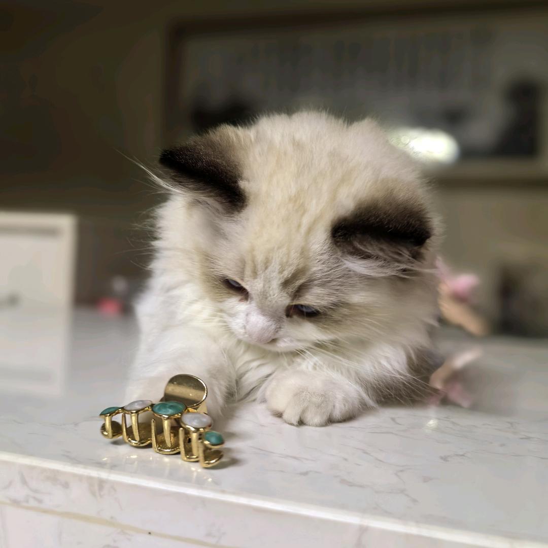 🐮July🦁🙈💫🍻