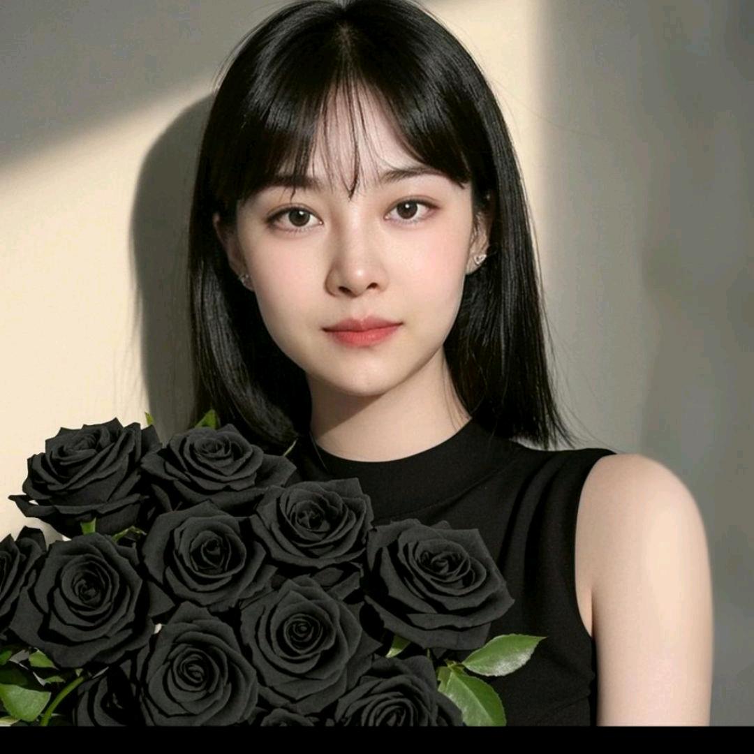 白菜自媒体