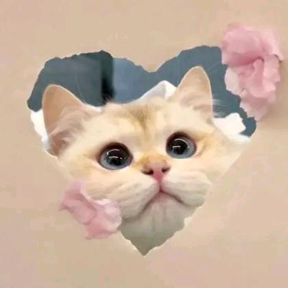 思南🦋
