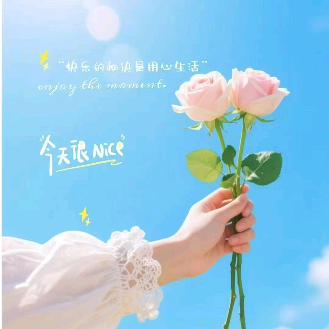 娜(❁´◡`❁)*✲ﾟ*