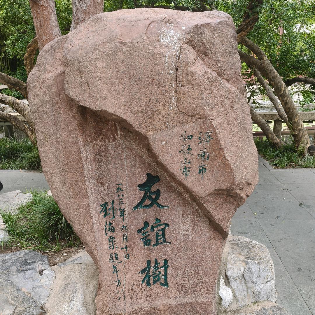 友谊长存