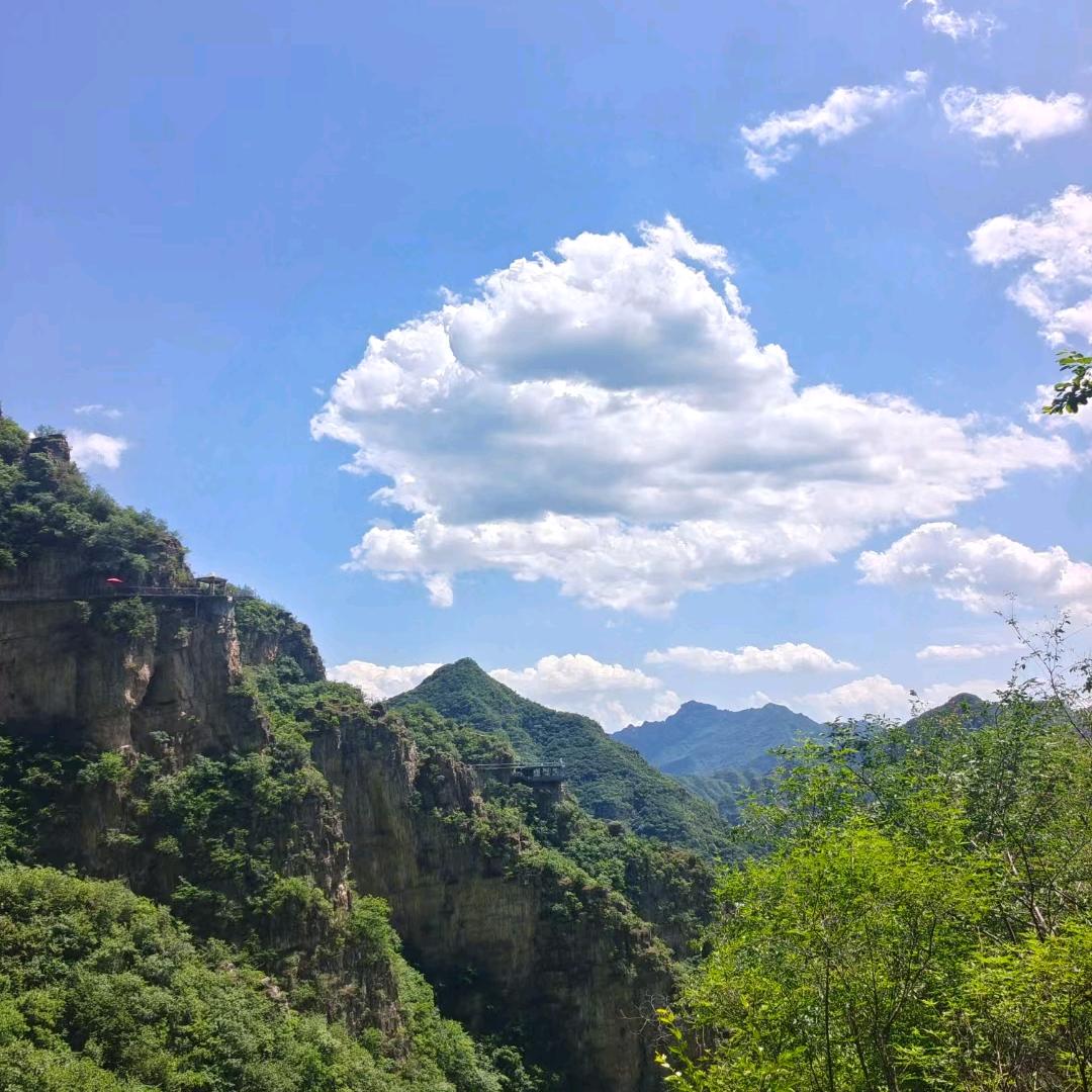 与一同行