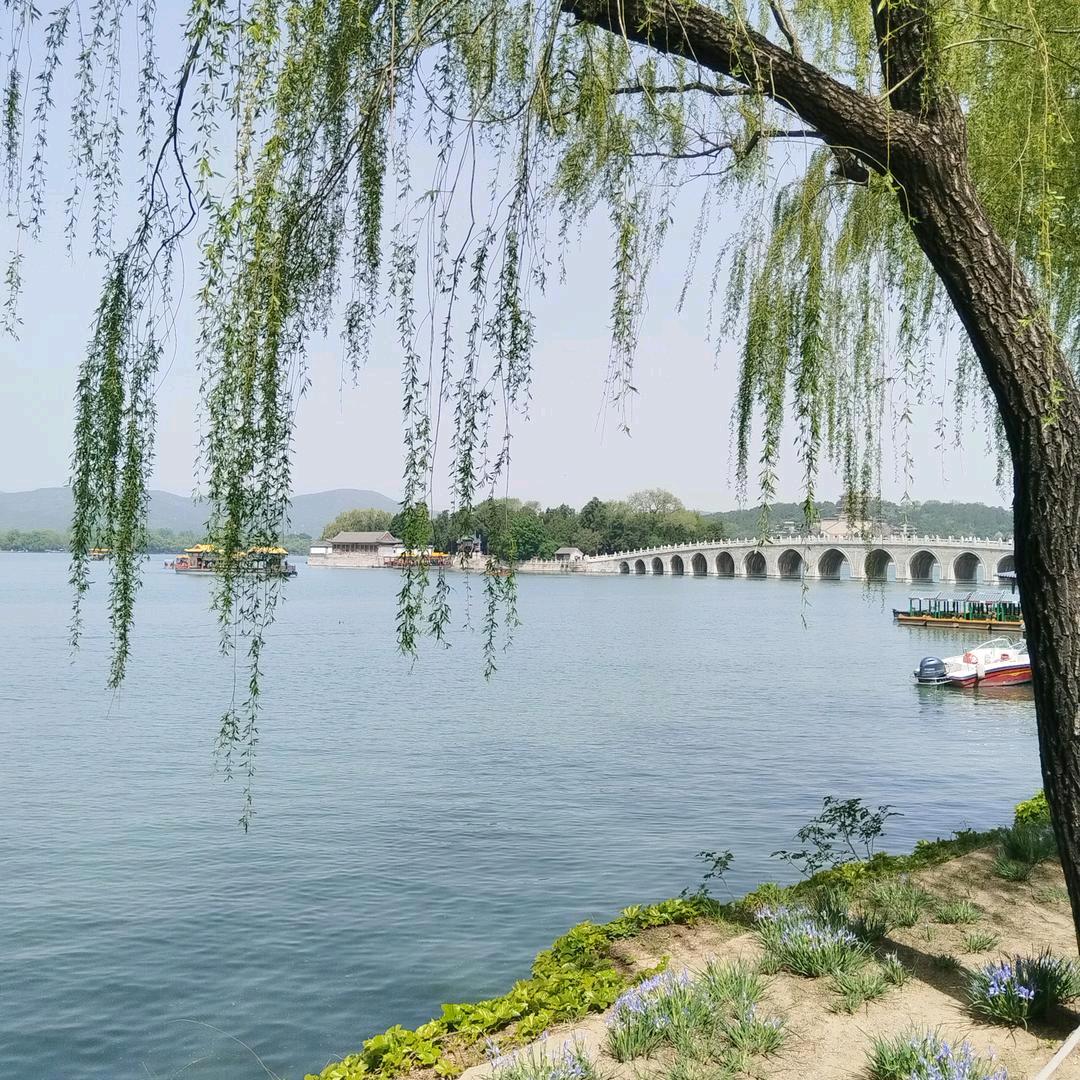 ღ᭄ 余生ᝰᩚ随心