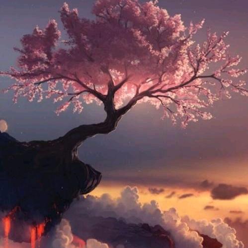 清纯柔美