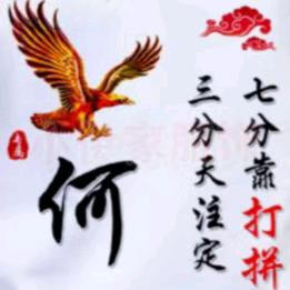 🚔🚔🏎🏎🏎林哥🏎🏎🏎🚔