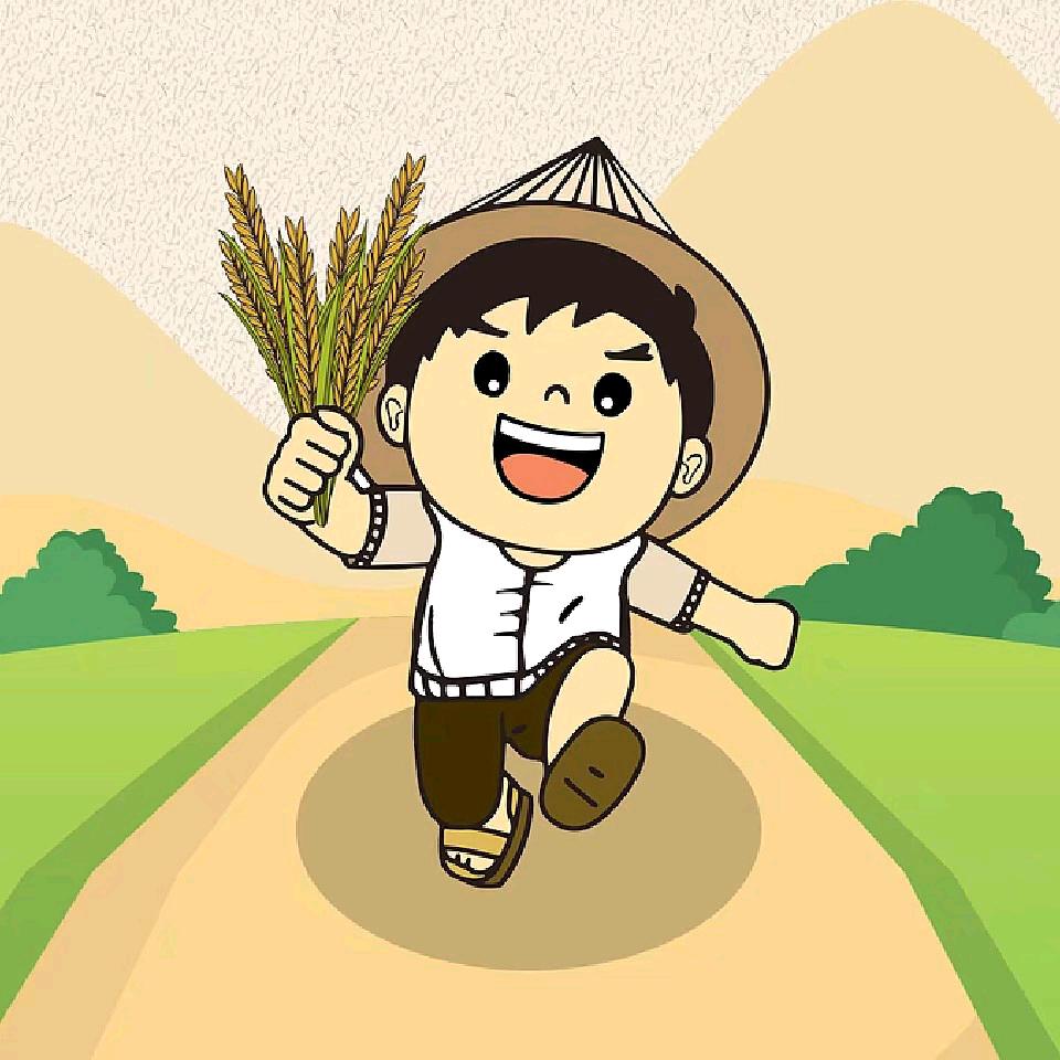 大麦大迈🌾