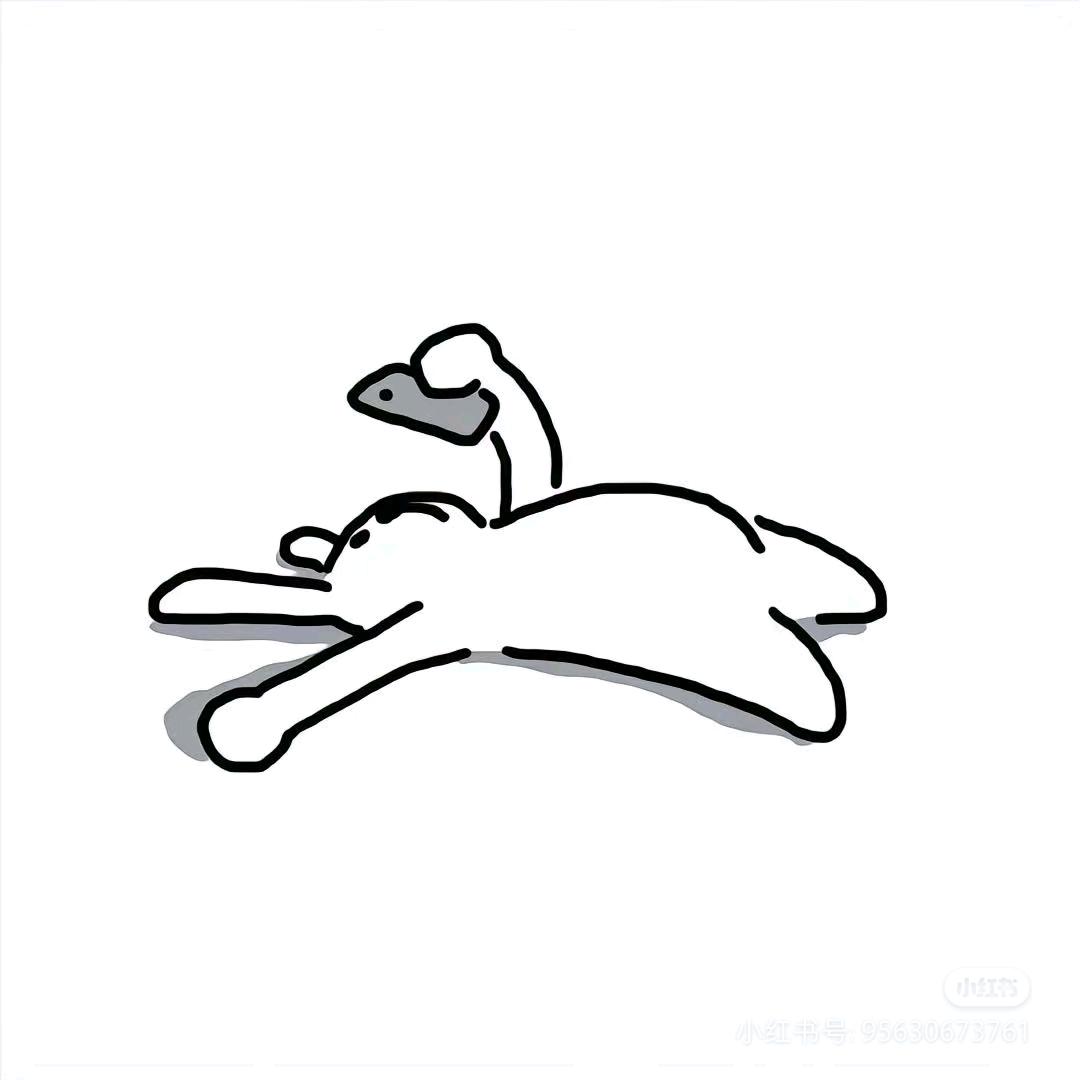 南西凤