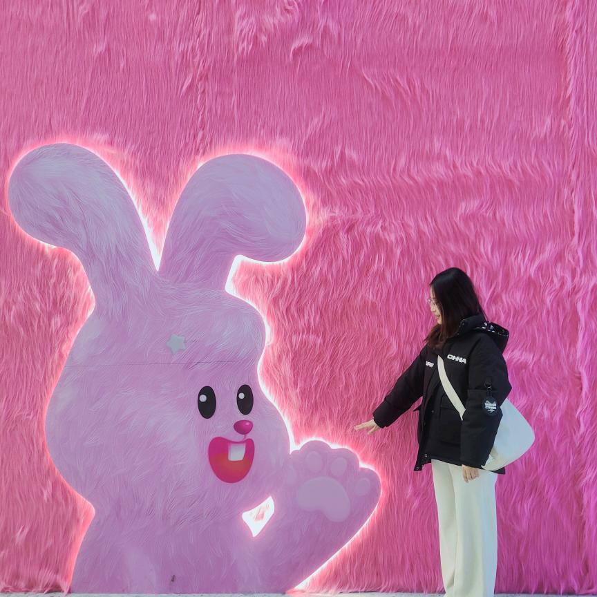 不想晚睡的教书匠