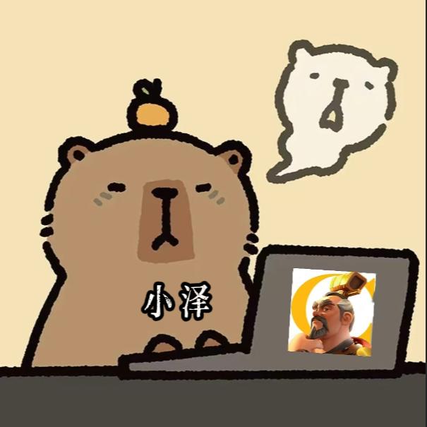 万国觉醒小泽
