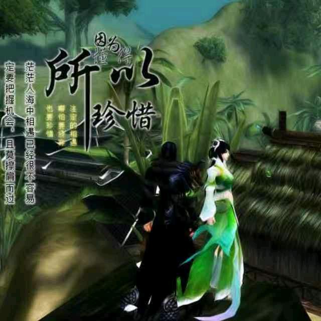 随风跑大街