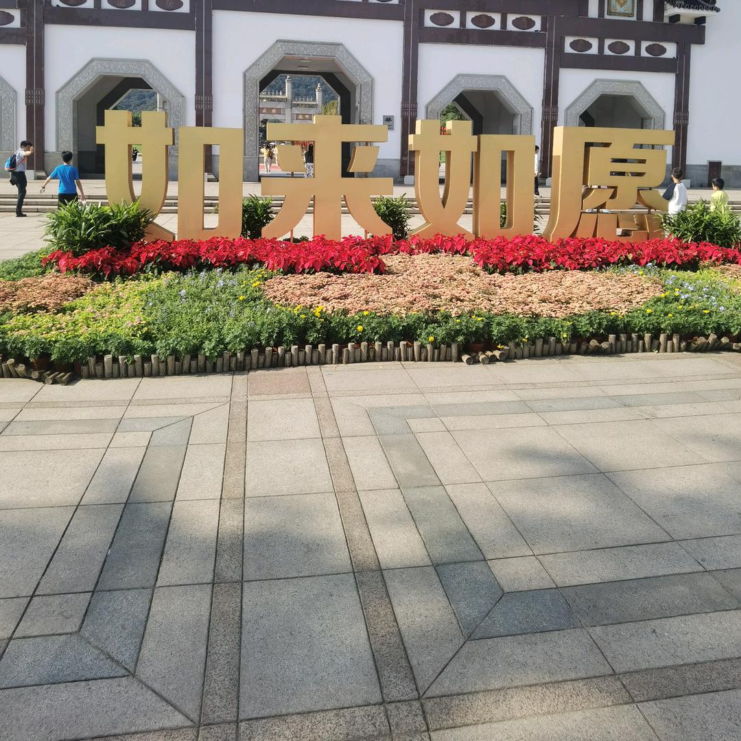 （上海）鑫  姐