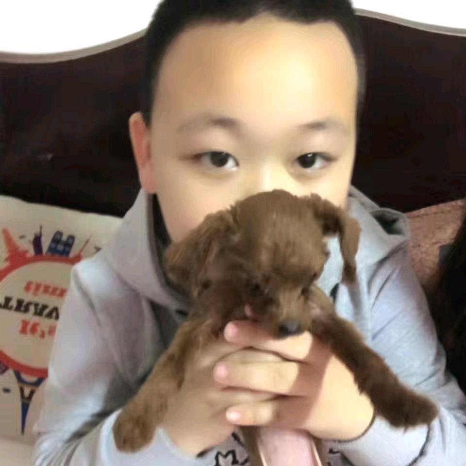 梨树诚信检车线爽姐