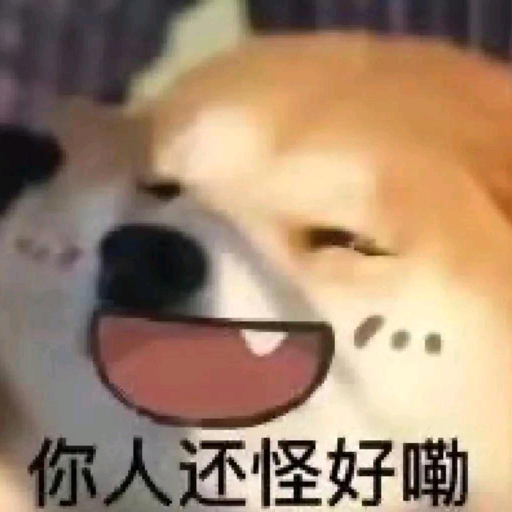 沐沐如风起