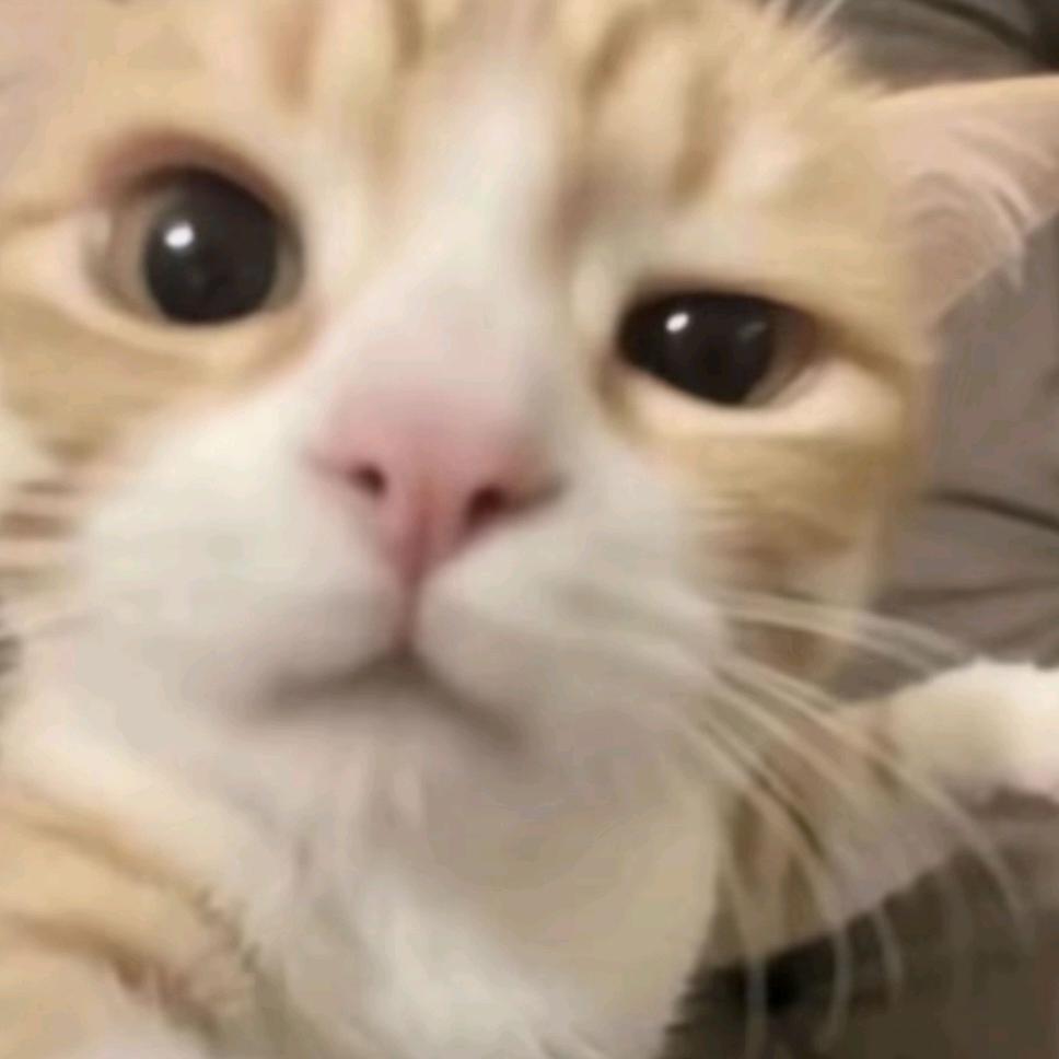 🌀十五大王💭