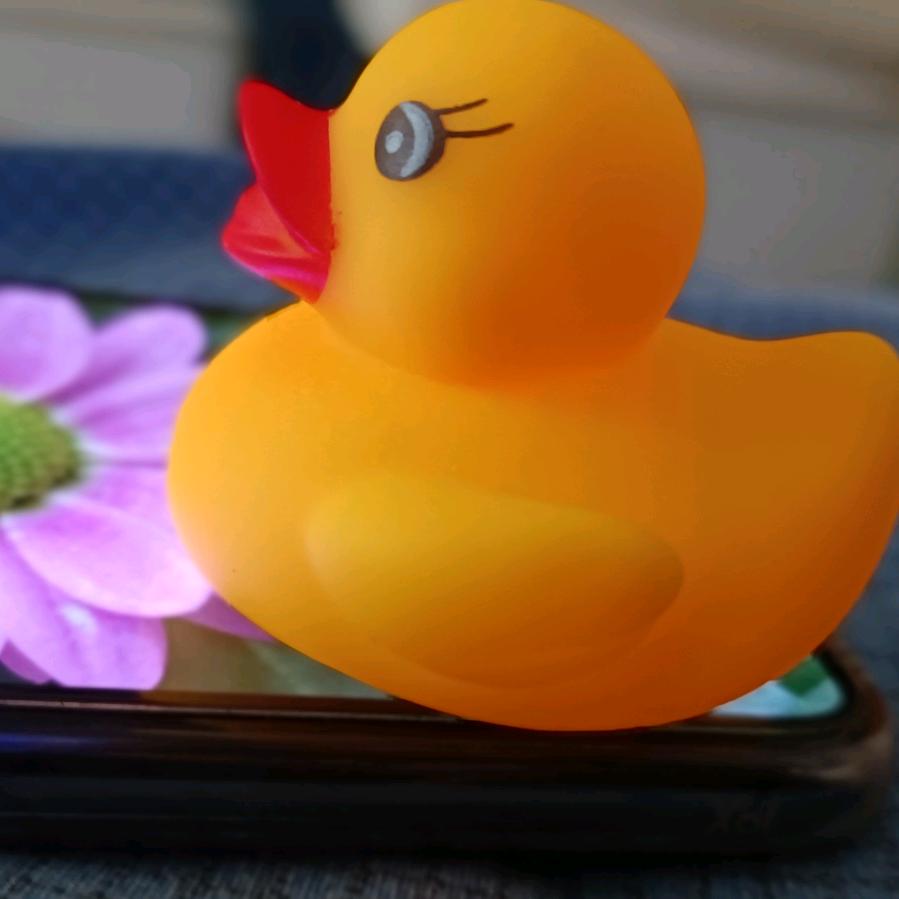 电子榨菜