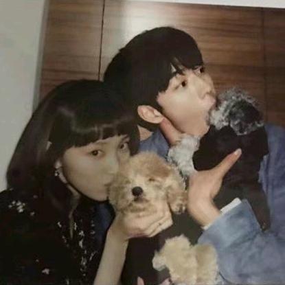不是南柱赫、