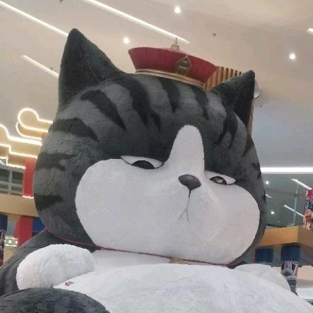 王保守