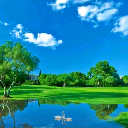 ℋღ᭄娇🍒᭄💞࿐