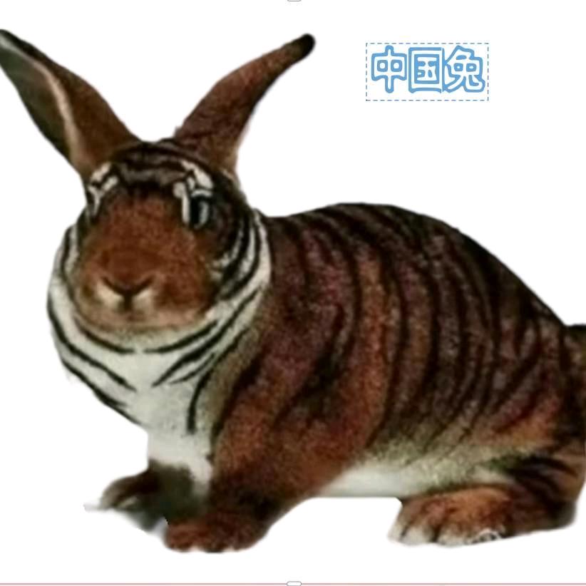 仁义理智信