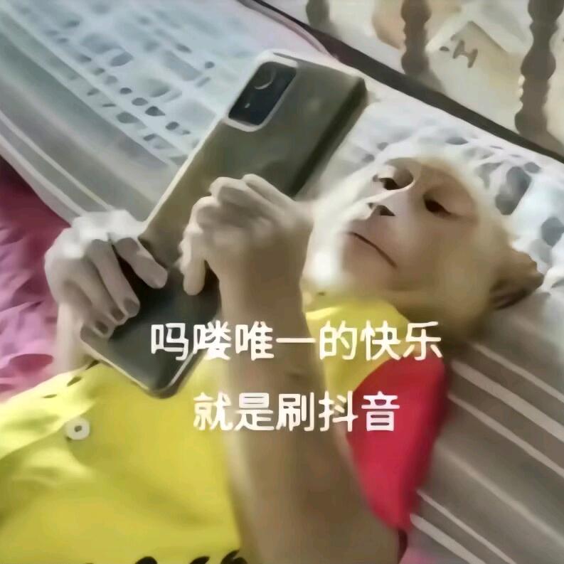 不能瑟瑟