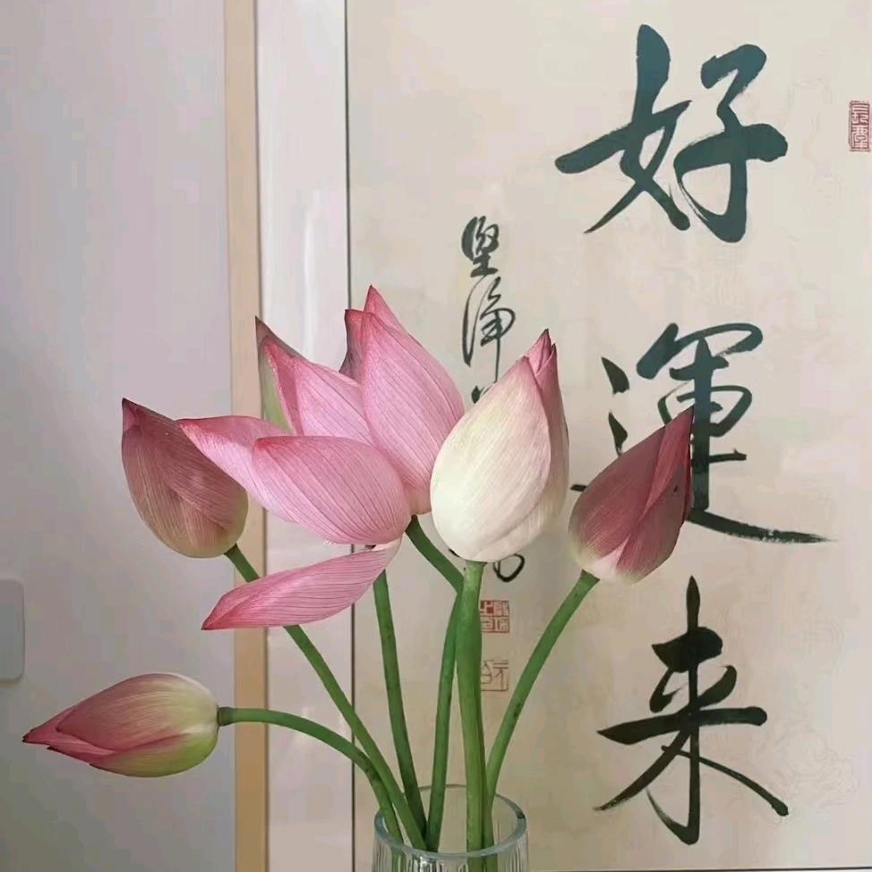 风晚