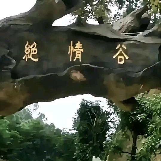 孤山