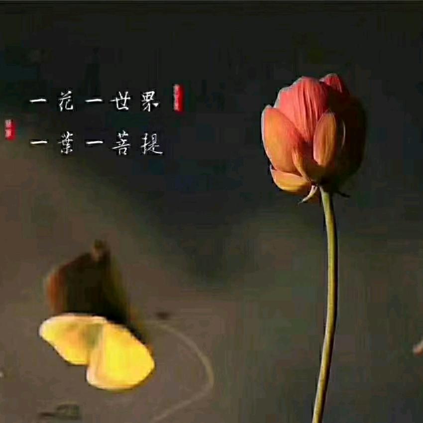 这年头