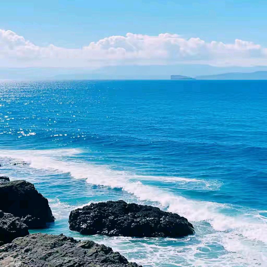 海纳百川🌸🌸