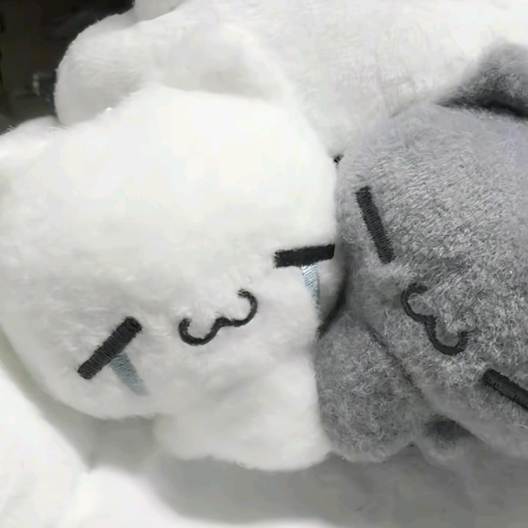 星星許稚愿
