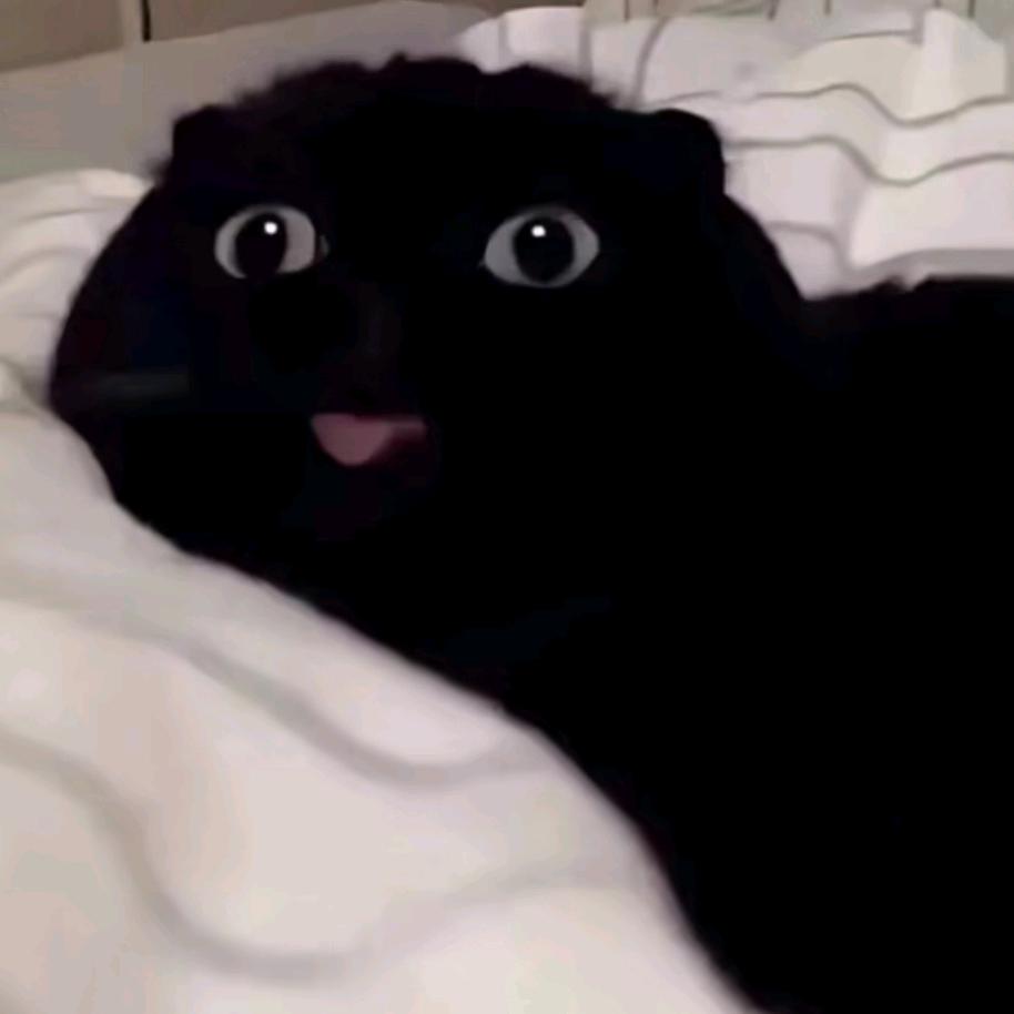 -.好难.-