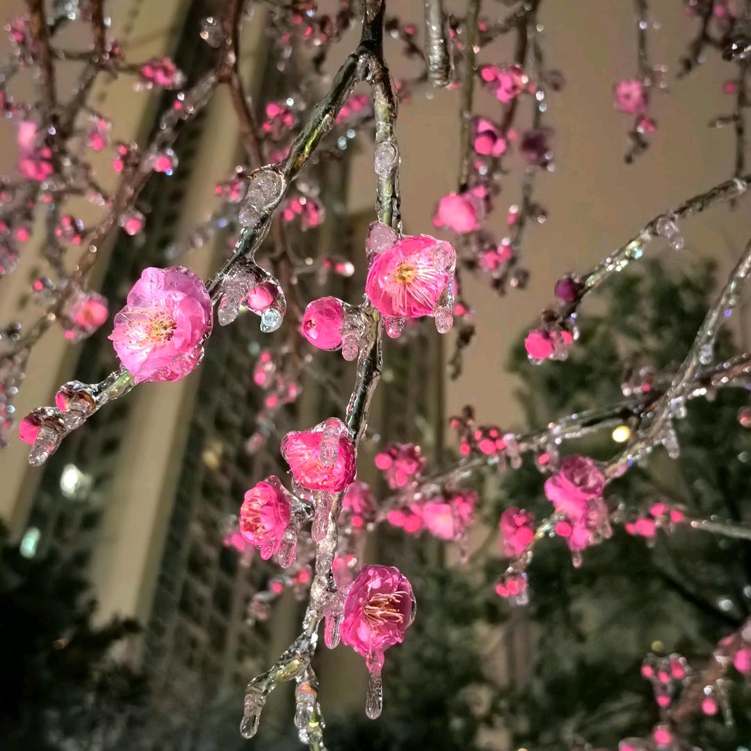 AAA建材王总